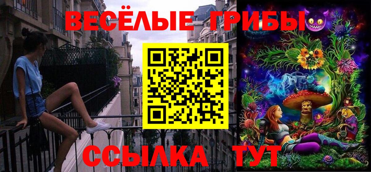 Галлюциногенные грибы мухоморы  Вход с VPN  Ессентуки  Псилоцибиновые грибы Psilocybe 