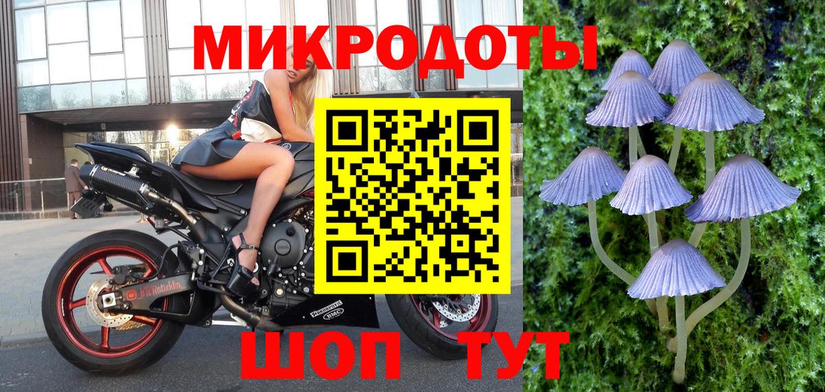 Псилоцибиновые грибы Psilocybine cubensis Ессентуки